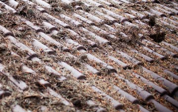 Skeffling roof cleaning companies