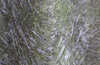 Skeffling fibreglass roof work